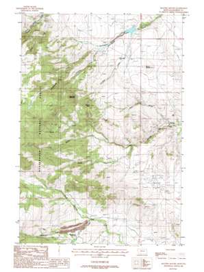 Maltbys Mound USGS topographic map 45111e7