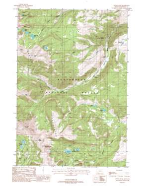 Potosi Peak USGS topographic map 45111e8