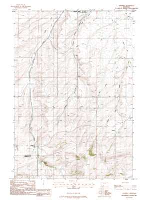 Bozeman Hot Springs USGS topographic map 45111f3