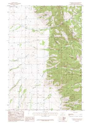 Flathead Pass topo map