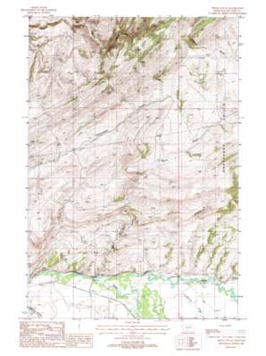 Nixon Gulch USGS topographic map 45111h3