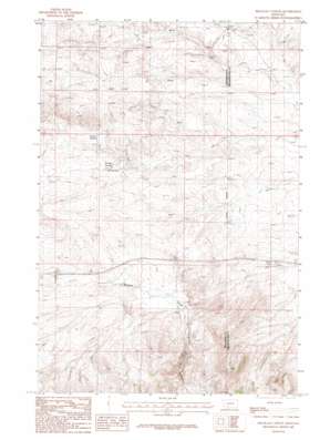 Milligan Canyon USGS topographic map 45111h6