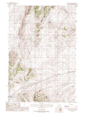Negro Hollow USGS topographic map 45111h7