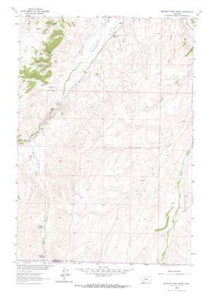 Belmont Park Ranch USGS topographic map 45112a2