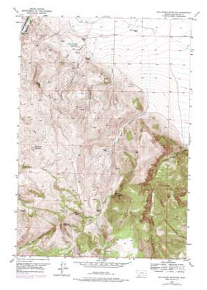 Gallagher Mountain topo map