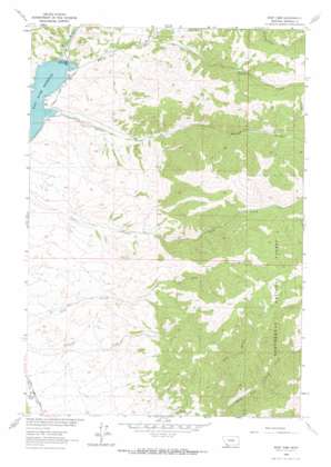 Ruby Dam USGS topographic map 45112b1