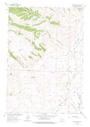 Metzel Ranch topo map