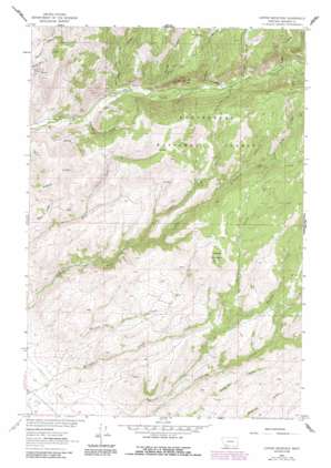 Ramshorn Mountain USGS topographic map 45112d1