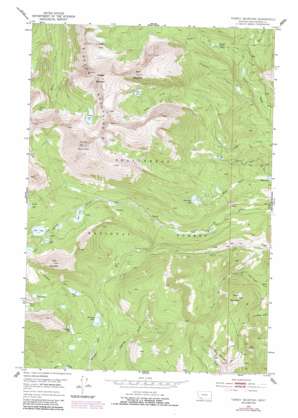 Twin Adams Mountain USGS topographic map 45112d8