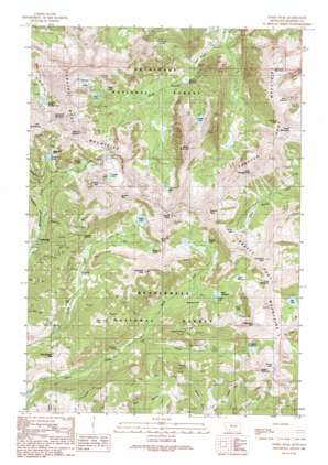 Manhead Mountain USGS topographic map 45112e1