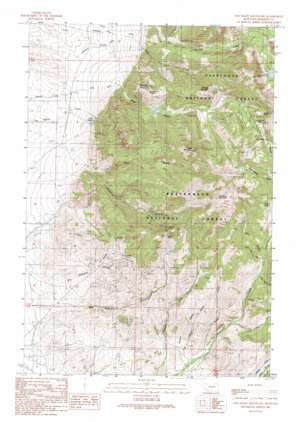 Old Baldy Mountain topo map