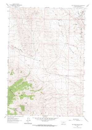 Nez Perce Hollow topo map