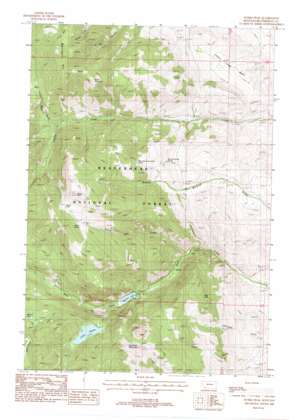 Storm Peak USGS topographic map 45112e7