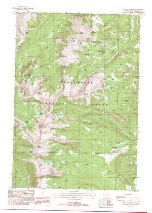 Mount Tahepia USGS topographic map 45112e8