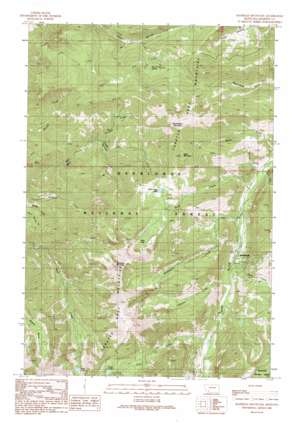 Manhead Mountain USGS topographic map 45112f1