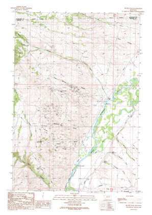 Silver Star USGS topographic map 45112f3