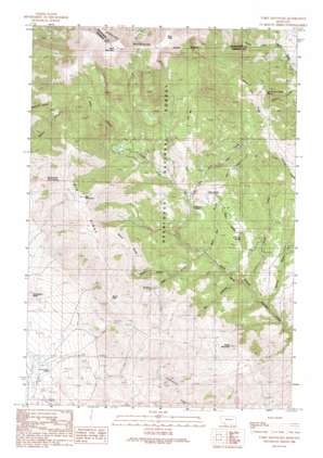 Table Mountain USGS topographic map 45112f4