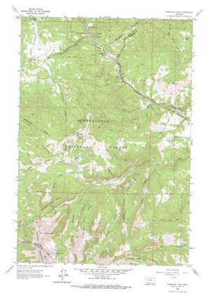 Pipestone Pass USGS topographic map 45112g4