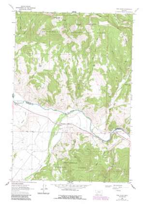 Wise River topo map