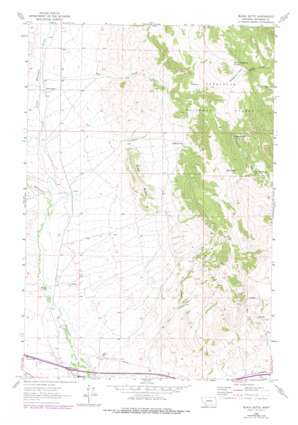 Black Butte USGS topographic map 45112h1