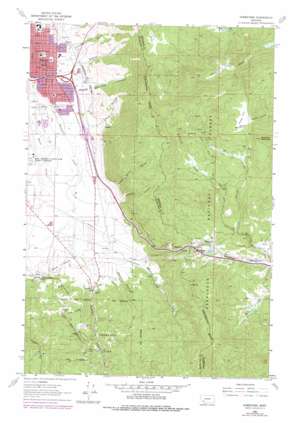 Homestake USGS topographic map 45112h4