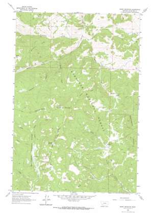 Burnt Mountain USGS topographic map 45112h7