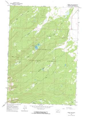 Lower Miner Lakes USGS topographic map 45113c5