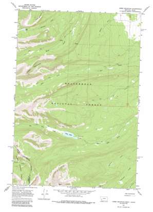Jumbo Mountain USGS topographic map 45113d6