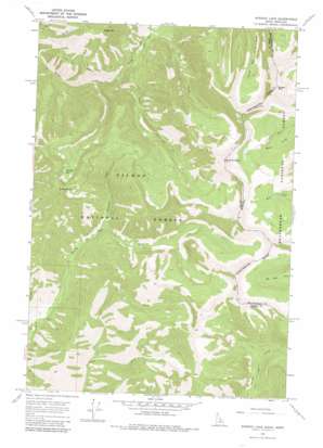 Shewag Lake USGS topographic map 45113d7