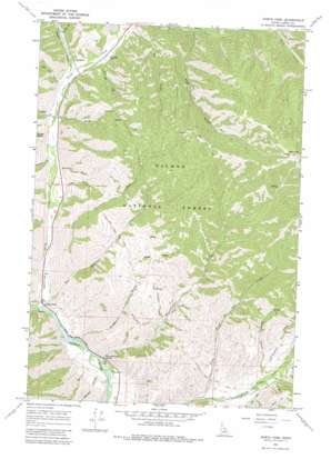 North Fork USGS topographic map 45113d8