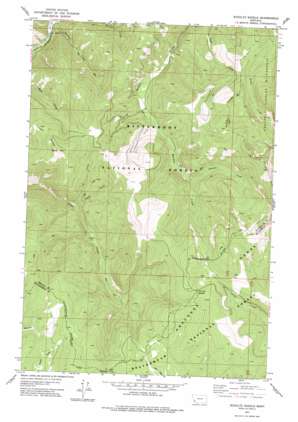Schultz Saddle USGS topographic map 45113g7