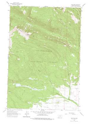 Long Peak USGS topographic map 45113h3