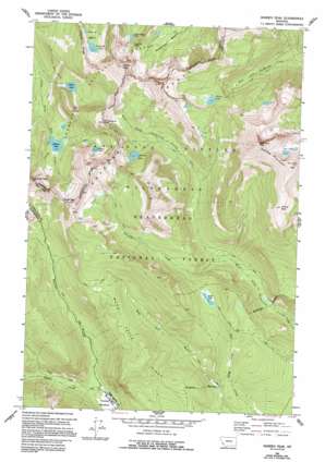 Warren Peak USGS topographic map 45113h4