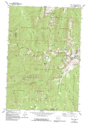 Warren Peak USGS topographic map 45113h5