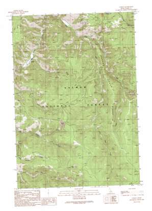 Cobalt USGS topographic map 45114a2