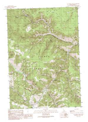 Blackbird Creek topo map