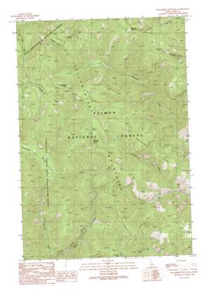 Blackbird Mountain USGS topographic map 45114a4