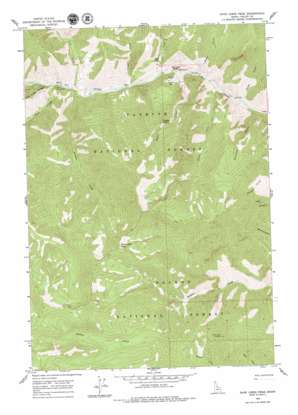 Dave Lewis Peak USGS topographic map 45114a7