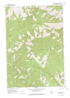 Mormon Mountain USGS topographic map 45114a8