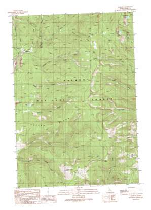 Leesburg USGS topographic map 45114b1