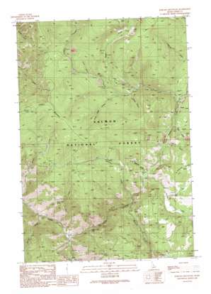 Jureano Mountain USGS topographic map 45114b2
