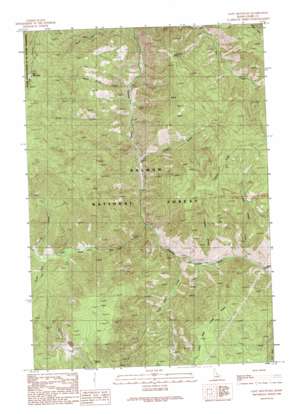 Gant Mountain topo map
