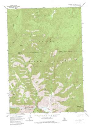 Vinegar Hill USGS topographic map 45114b8