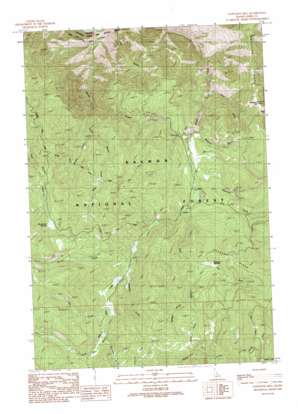 Napoleon Hill USGS topographic map 45114c1