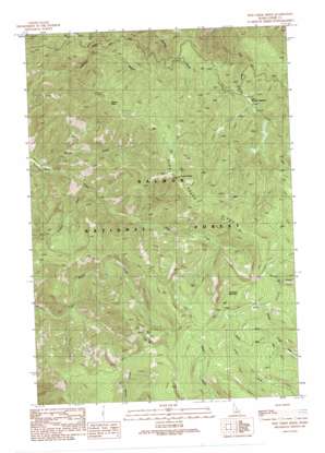 Pine Creek Ridge USGS topographic map 45114c2