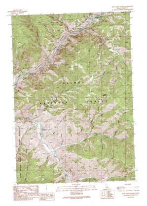 Pine Creek Rapids USGS topographic map 45114c3