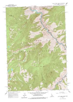 Butts Creek Point topo map