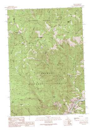 Shoup USGS topographic map 45114d3