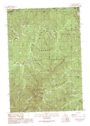 Tincup Hill topo map