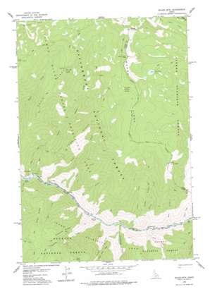 Waugh Mountain USGS topographic map 45114d7